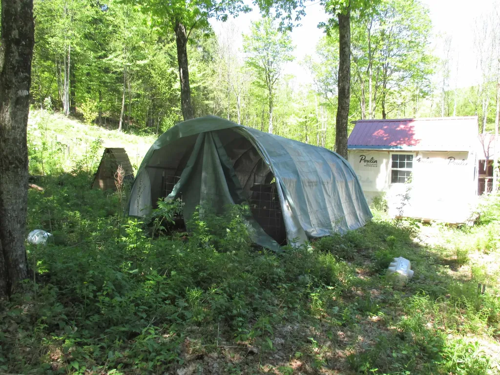 798 Ballground Road Westfield VT 05874