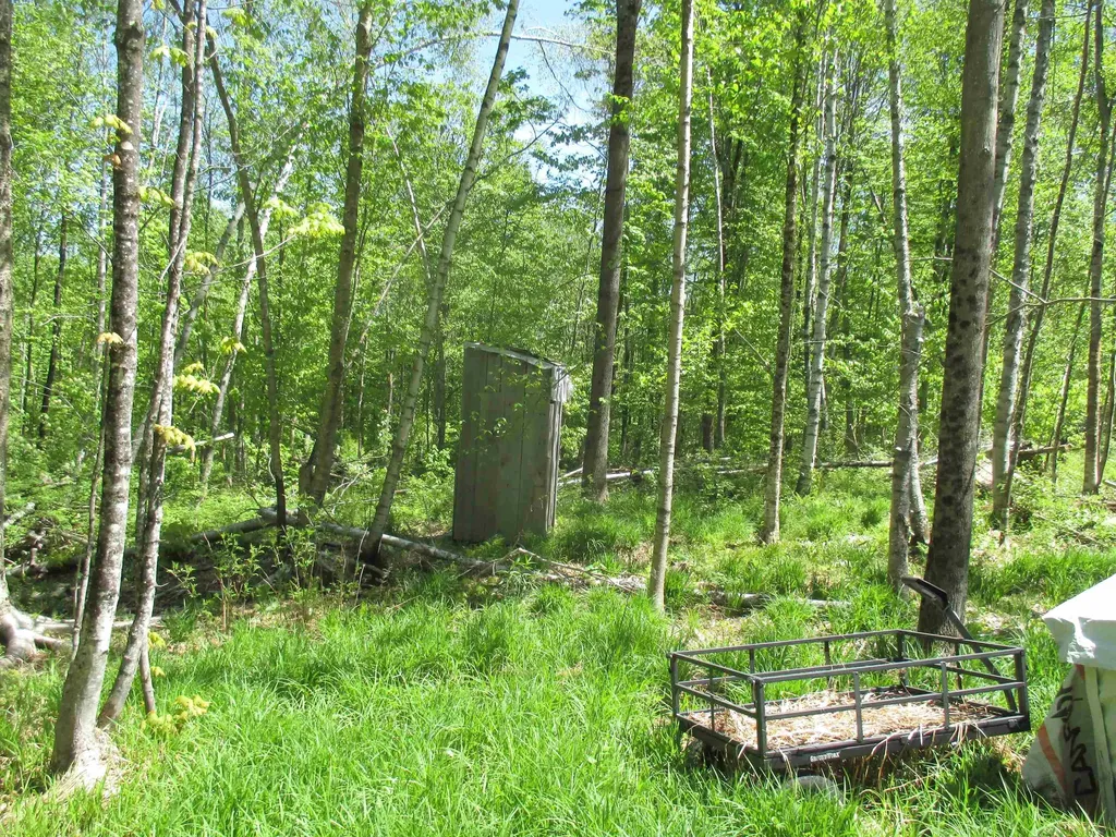 798 Ballground Road Westfield VT 05874