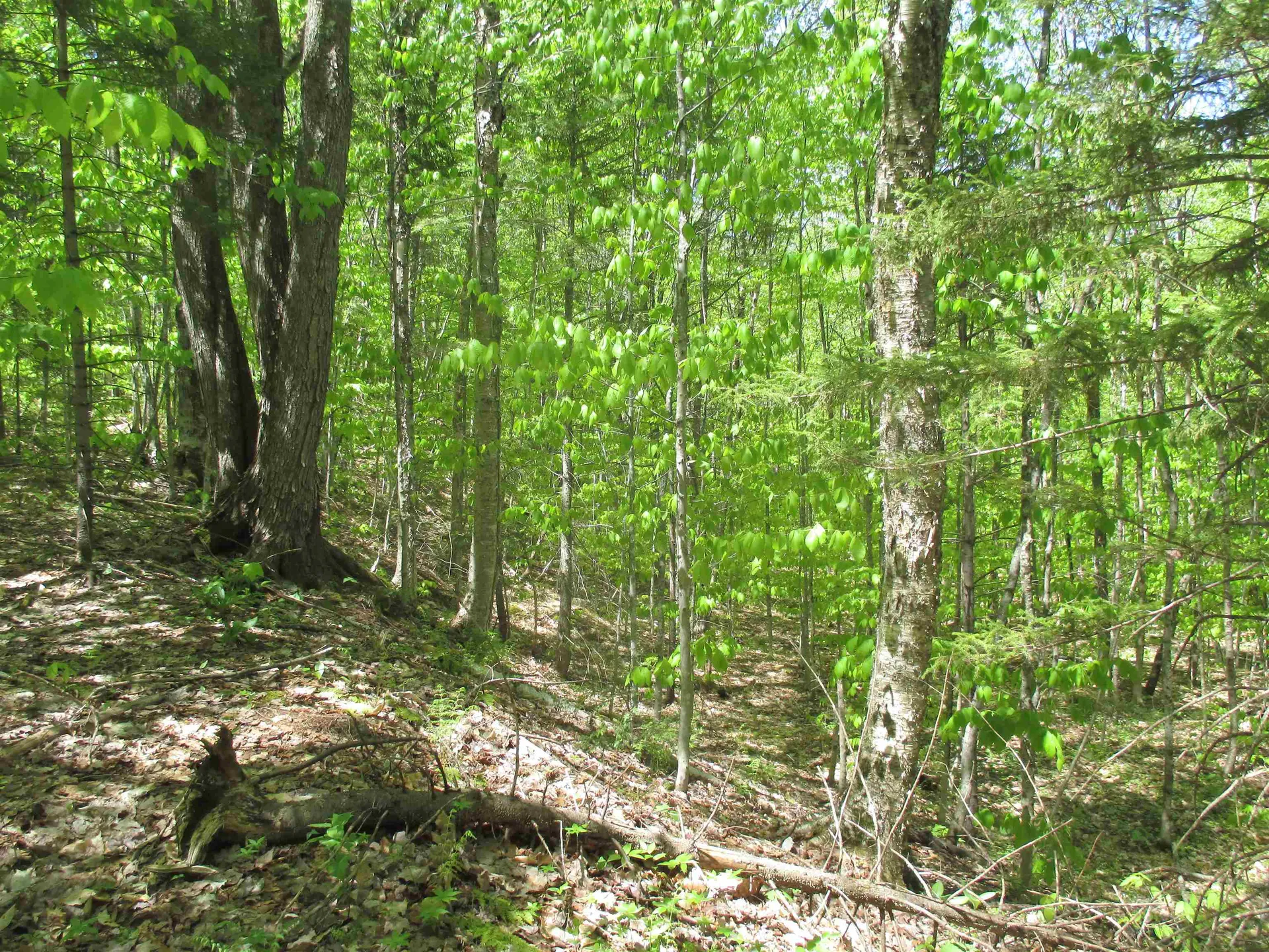 798 Ballground Road Westfield VT 05874