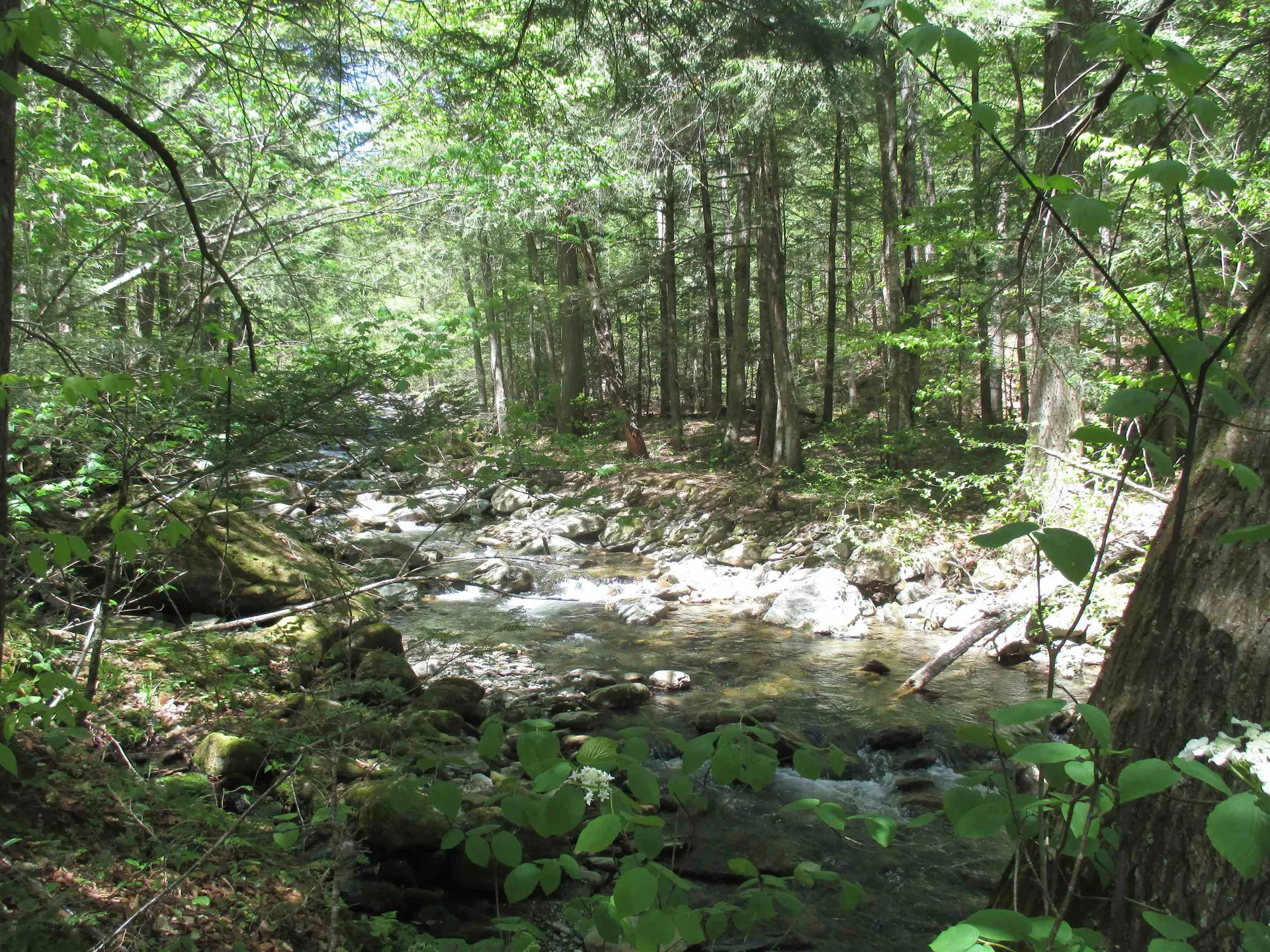 798 Ballground Road Westfield VT 05874