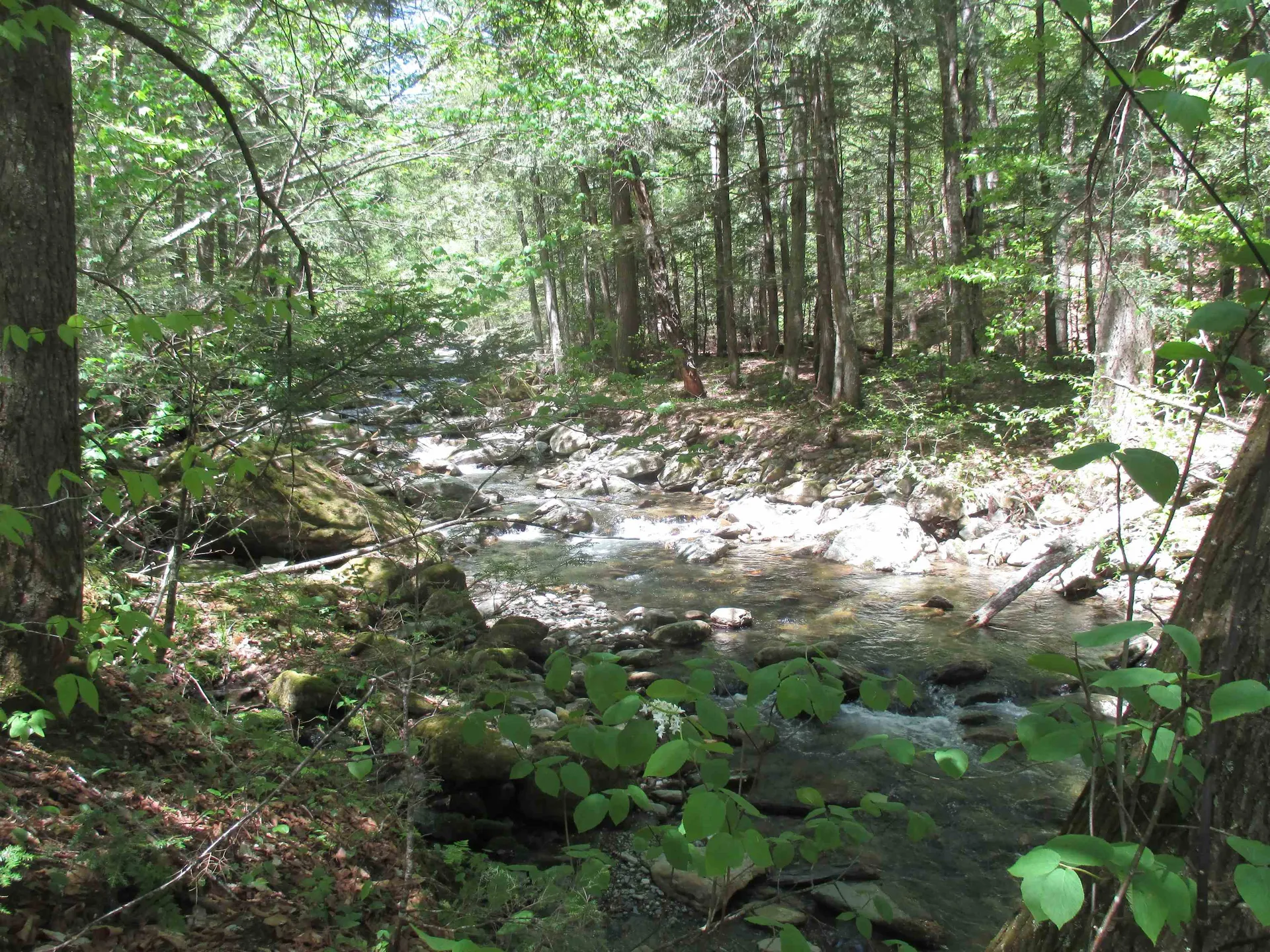 798 Ballground Road Westfield VT 05874
