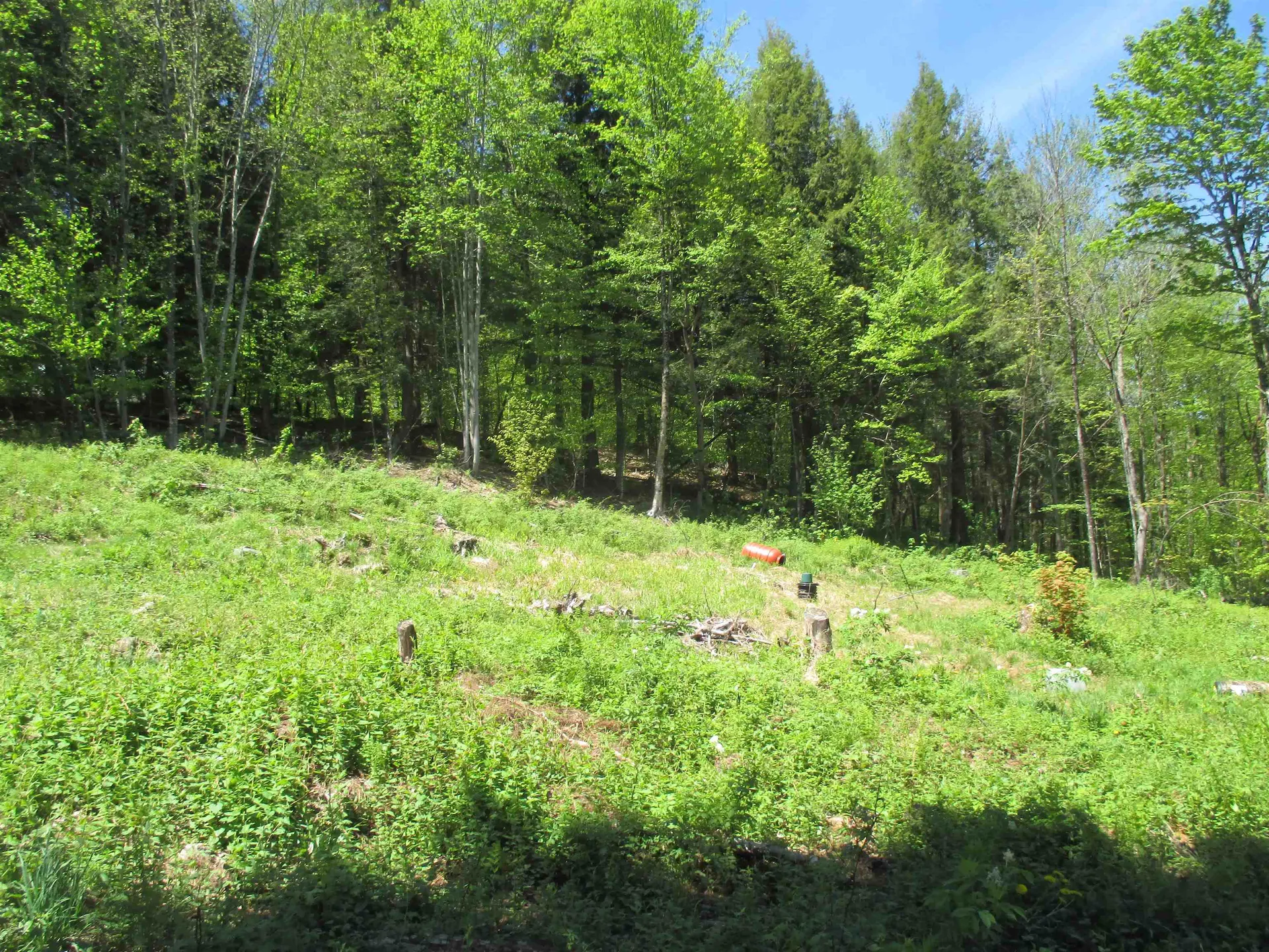 798 Ballground Road Westfield VT 05874