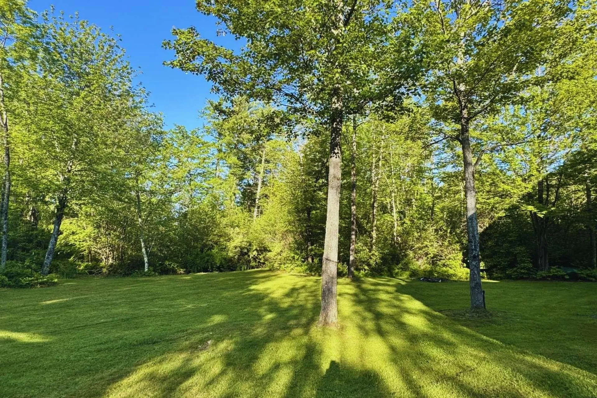 60 Lyman Drive Williston VT 05495