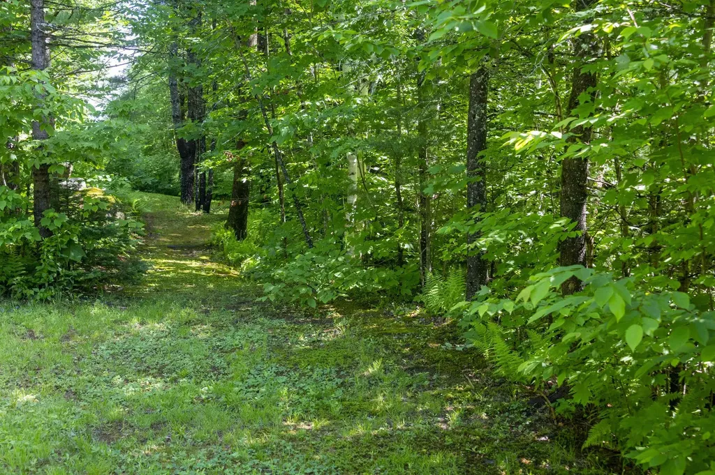 186 Mackenzie Road Worcester VT 05682