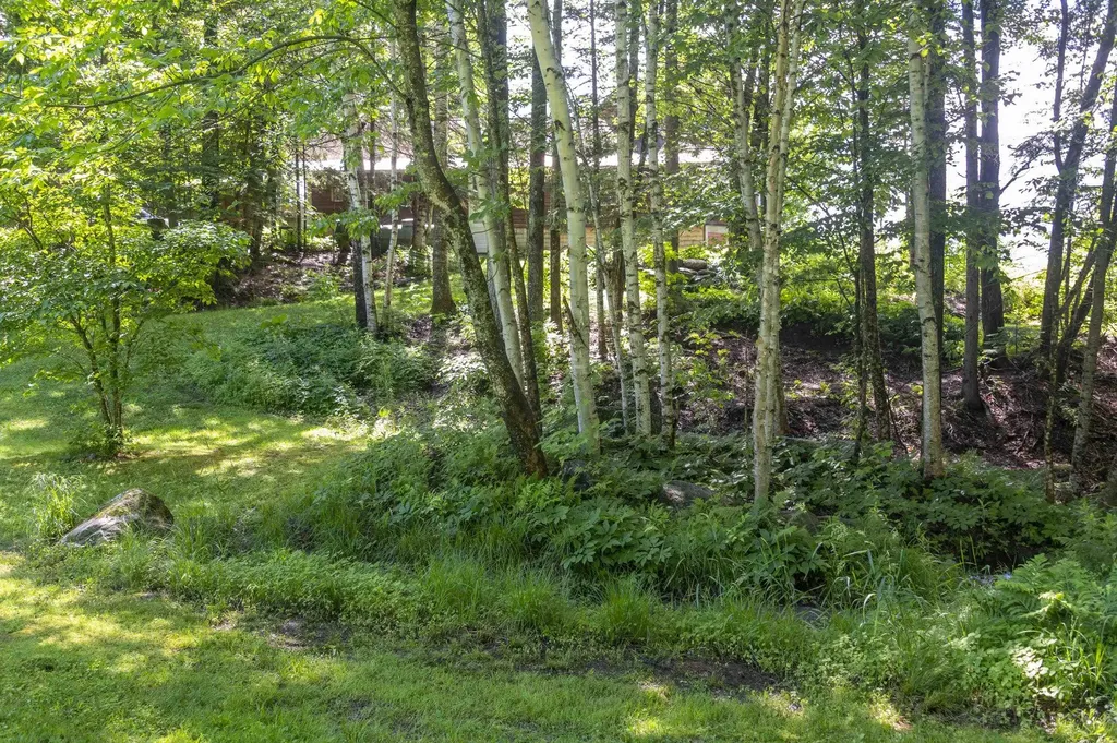 186 Mackenzie Road Worcester VT 05682
