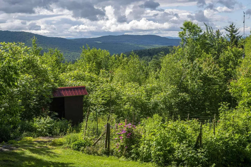 186 Mackenzie Road Worcester VT 05682