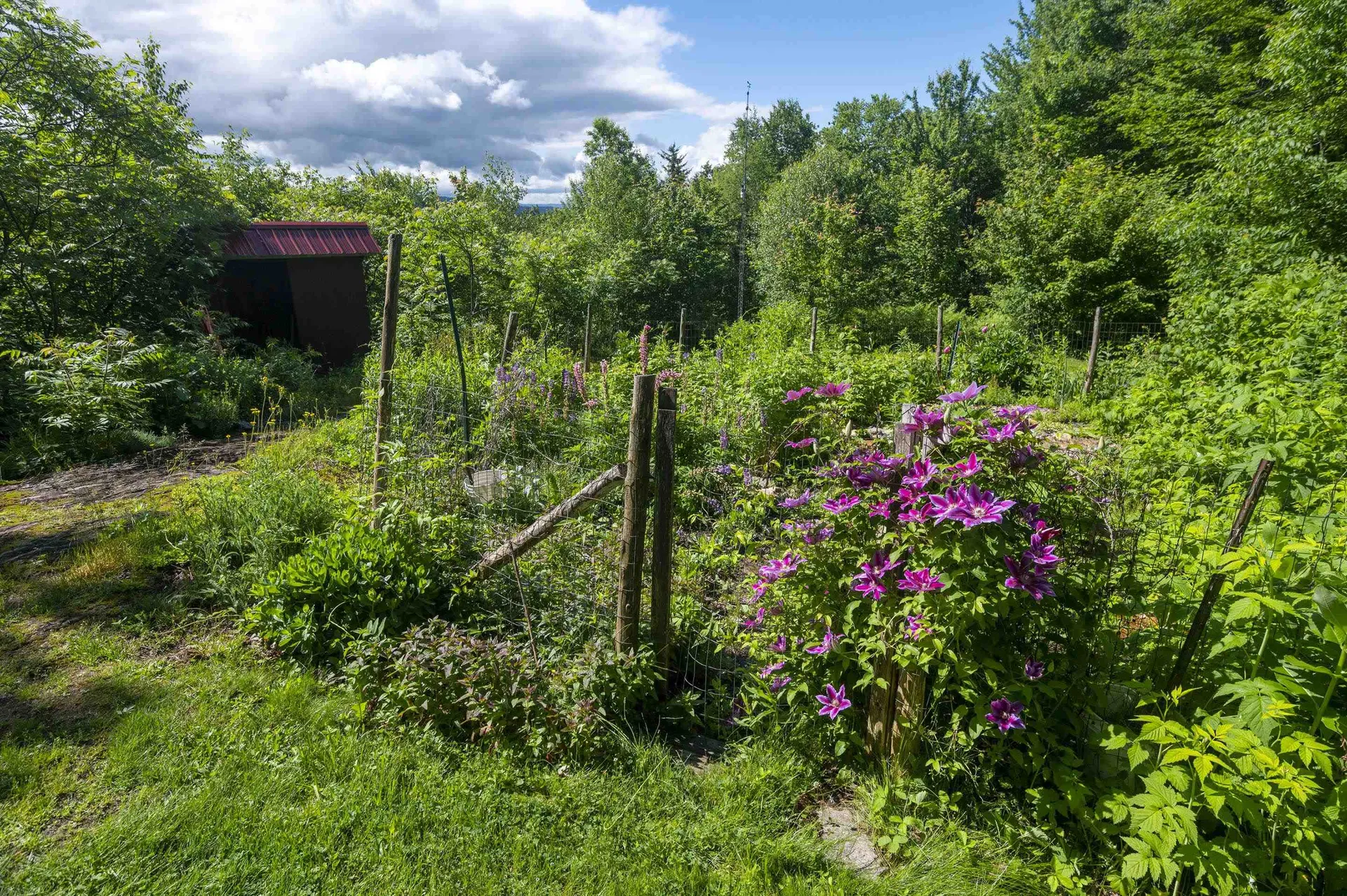 186 Mackenzie Road Worcester VT 05682