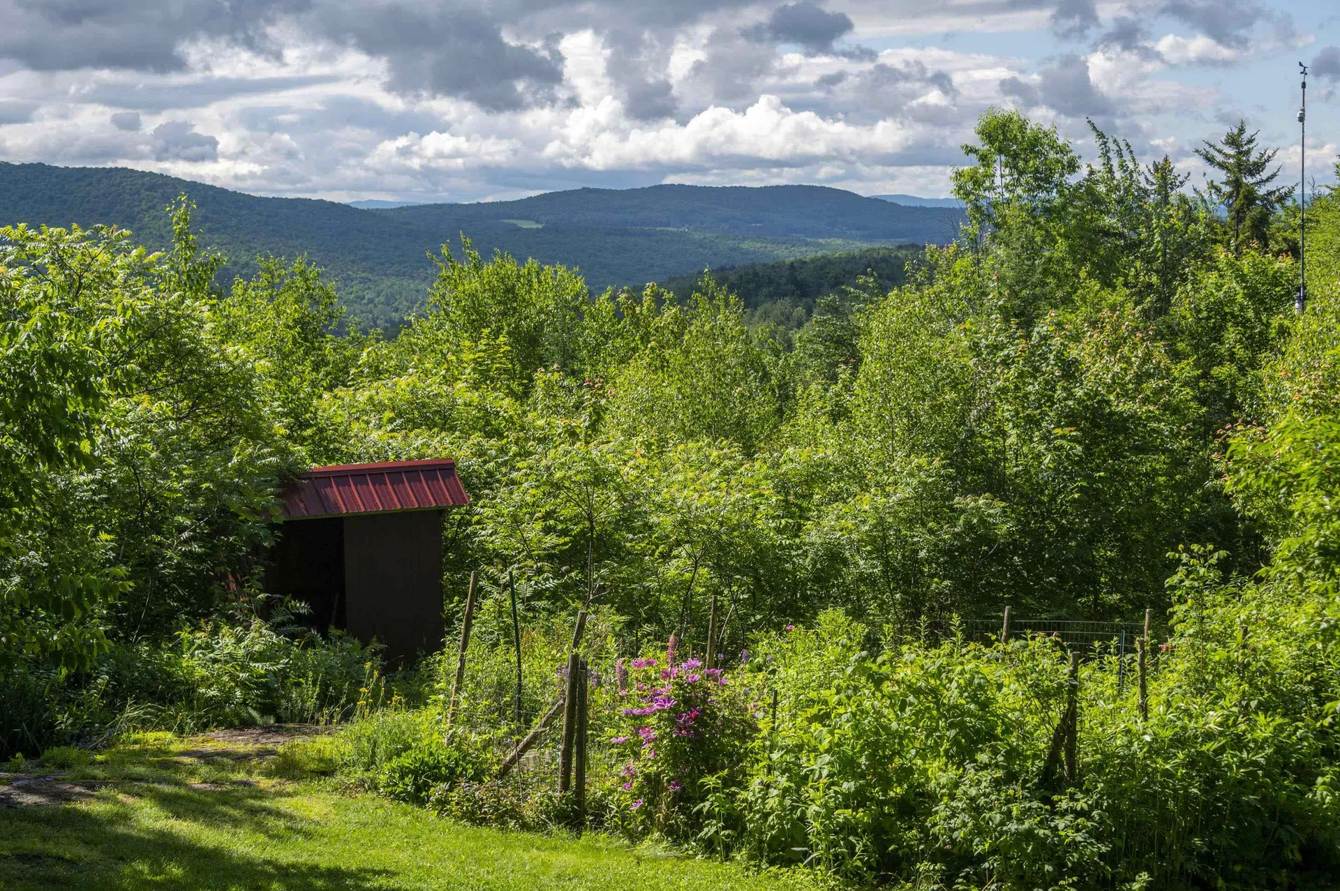 186 Mackenzie Road Worcester VT 05682