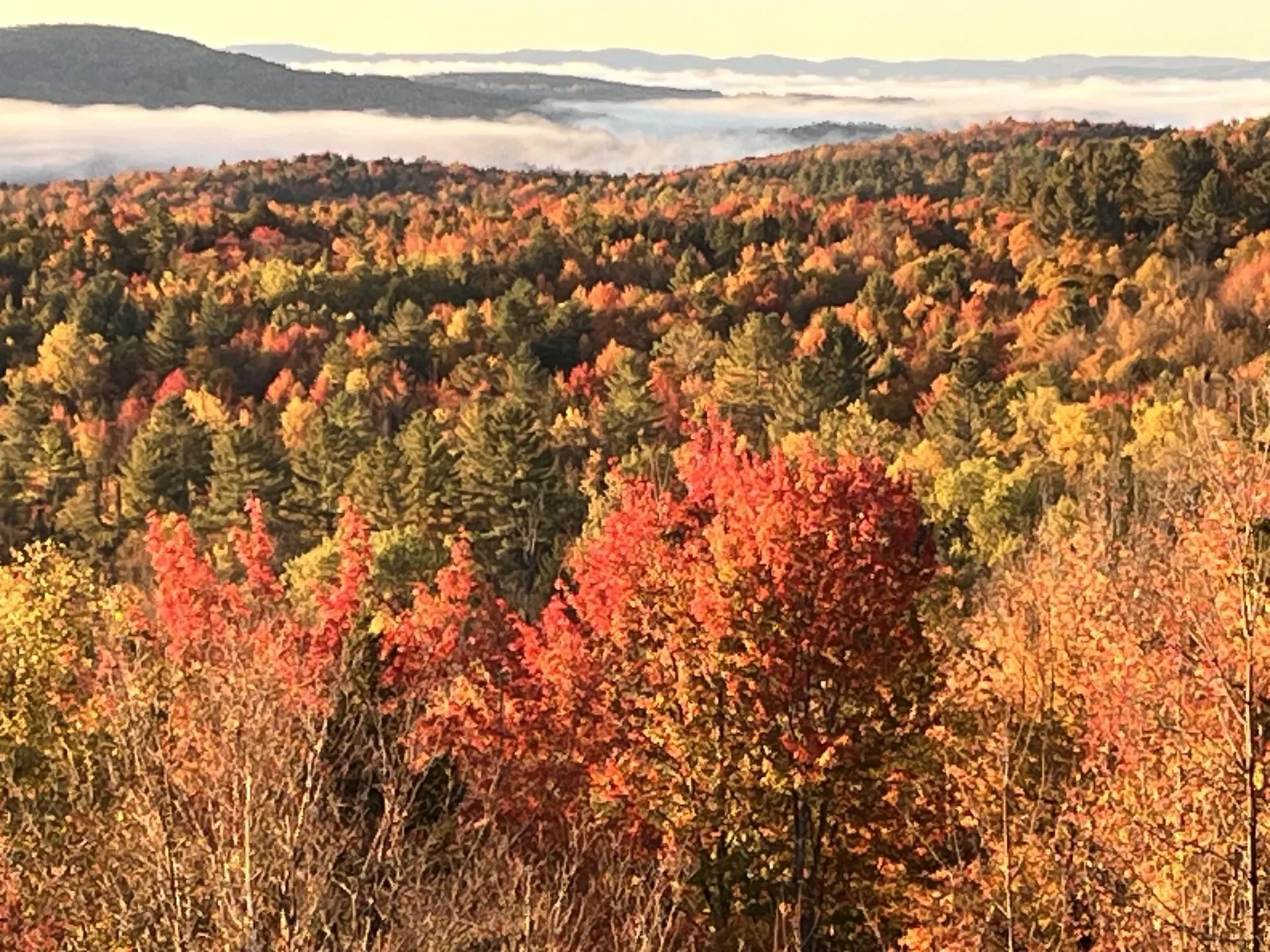 186 Mackenzie Road Worcester VT 05682
