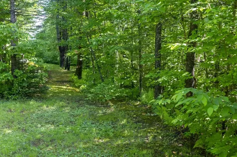 186 Mackenzie Road Worcester VT 05682