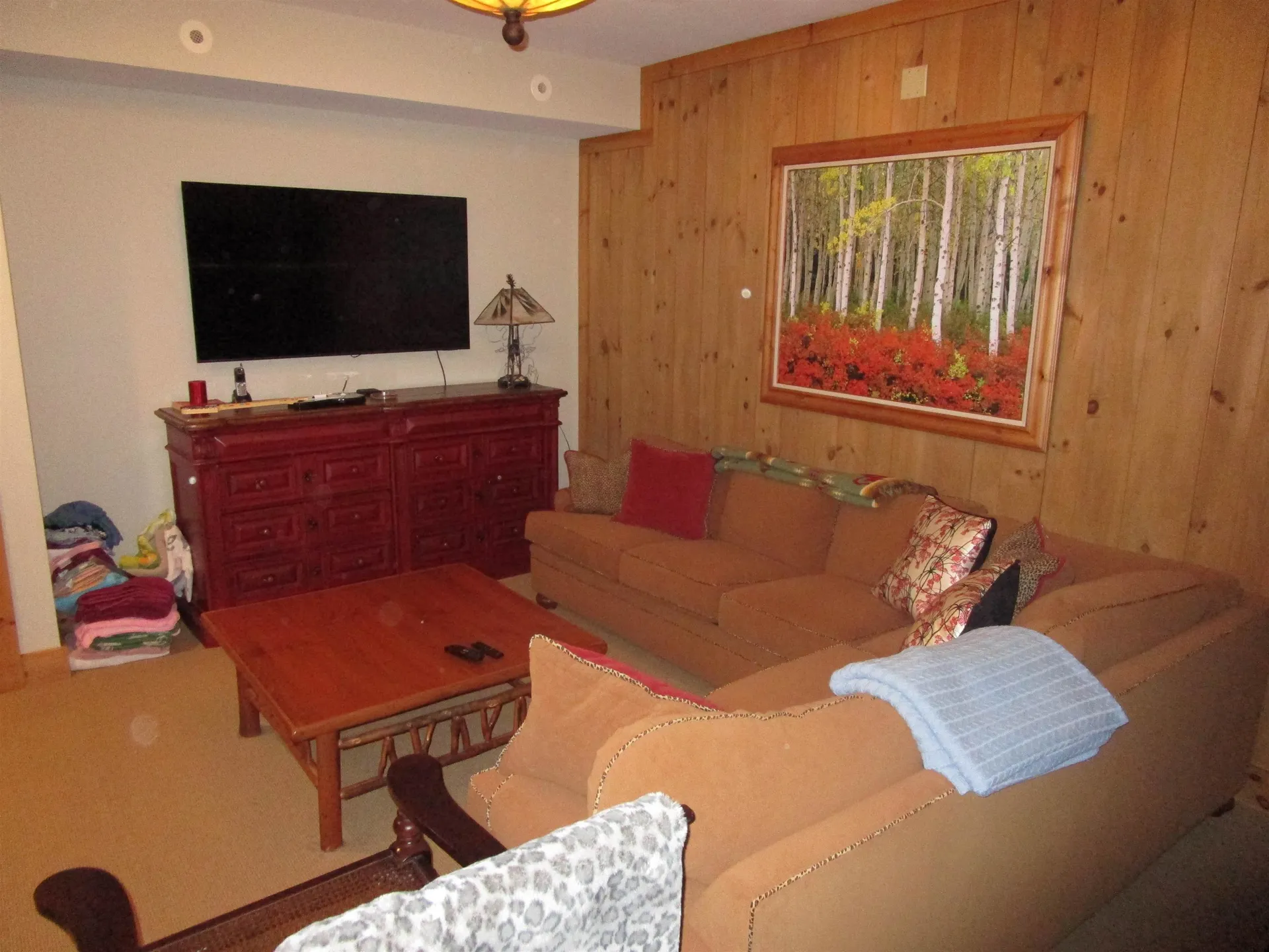 16 C Winterberry Heights Court Stratton VT 05155