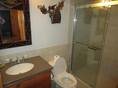 16 C Winterberry Heights Court Stratton VT 05155