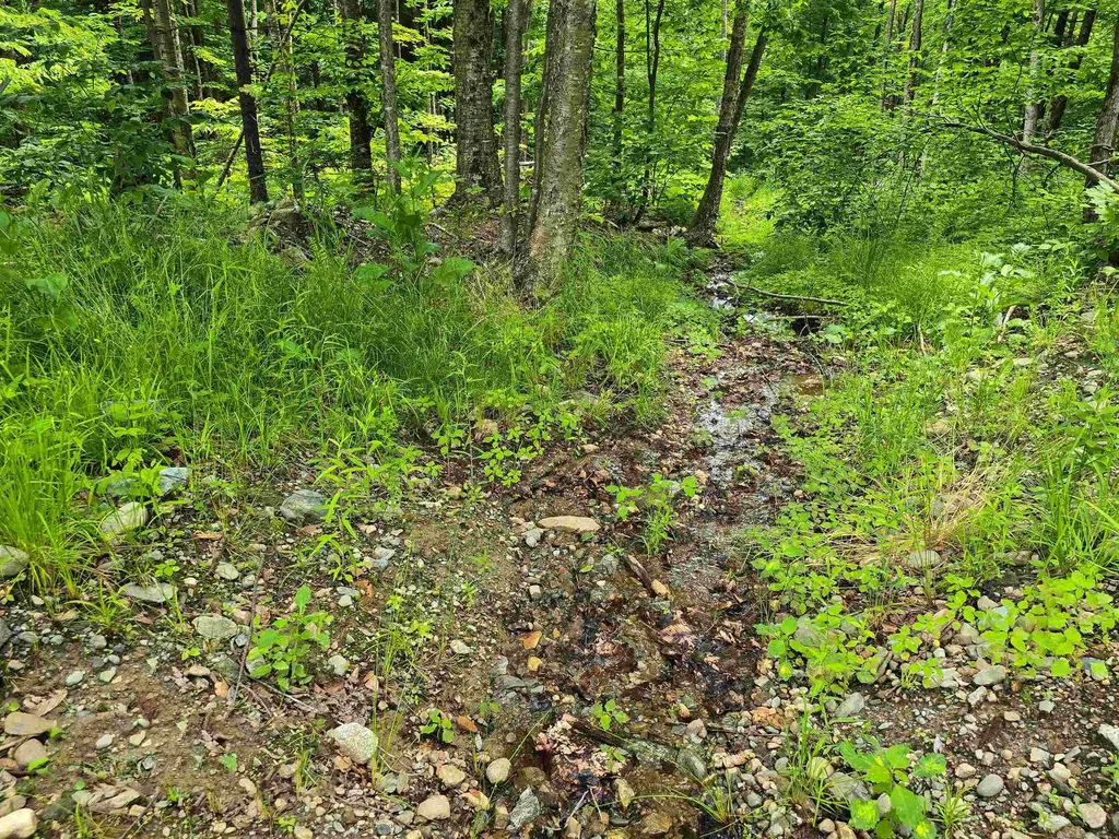 433 Wightman Hill Road Richford VT 05476