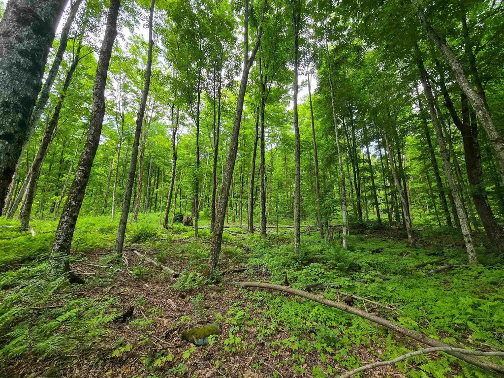 433 Wightman Hill Road Richford VT 05476