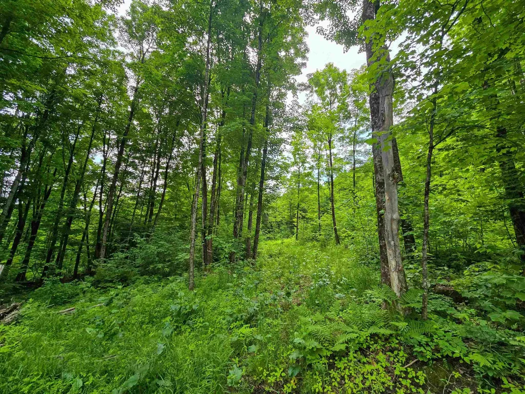 433 Wightman Hill Road Richford VT 05476
