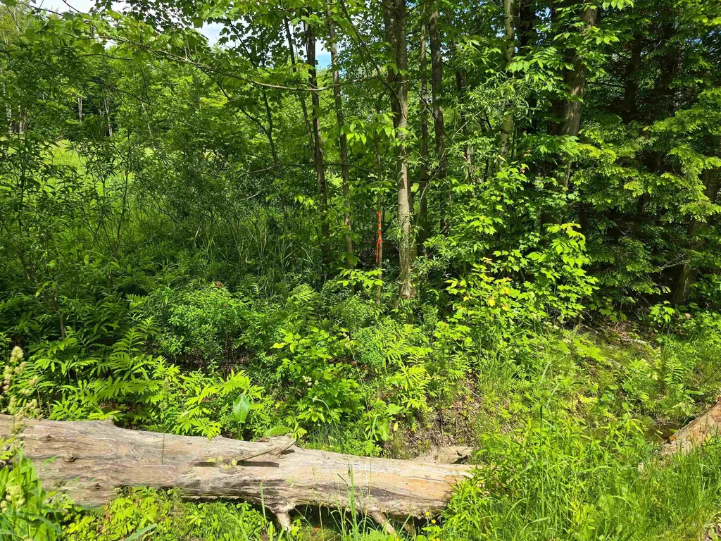 433 Wightman Hill Road Richford VT 05476