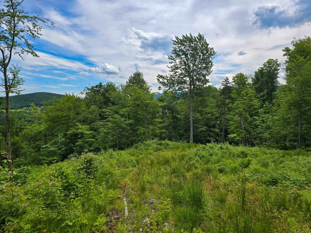 433 Wightman Hill Road Richford VT 05476