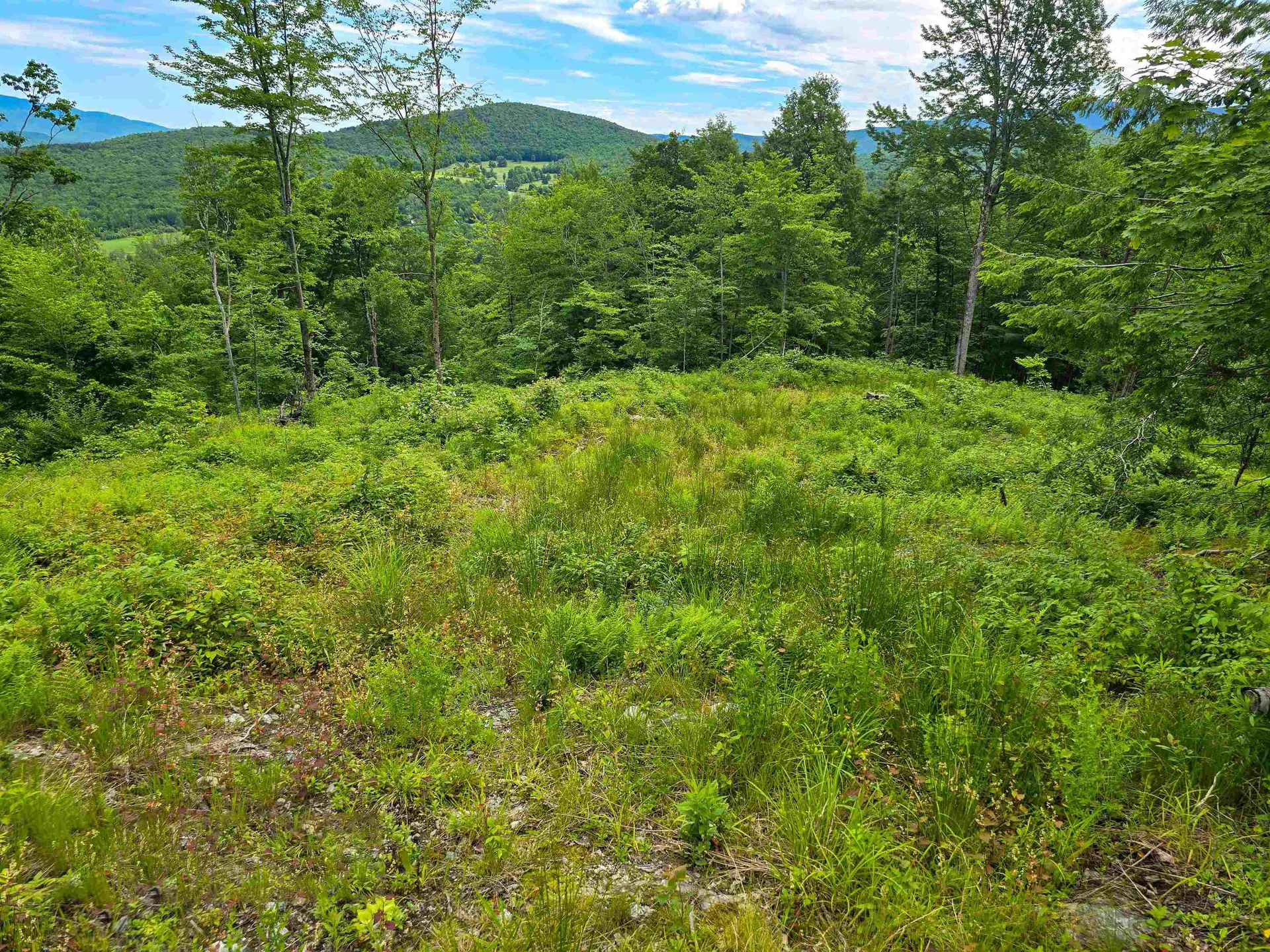 433 Wightman Hill Road Richford VT 05476