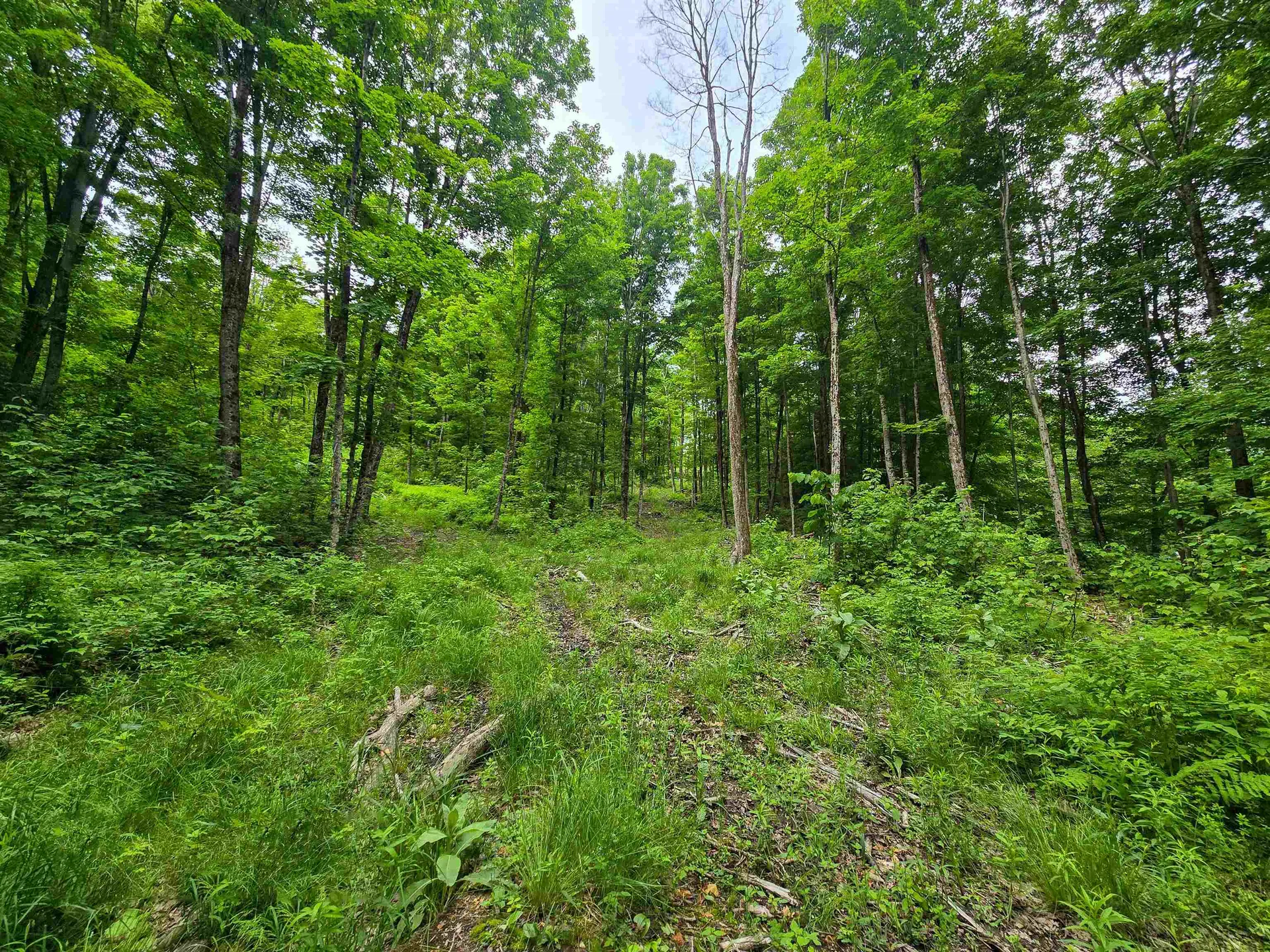 433 Wightman Hill Road Richford VT 05476