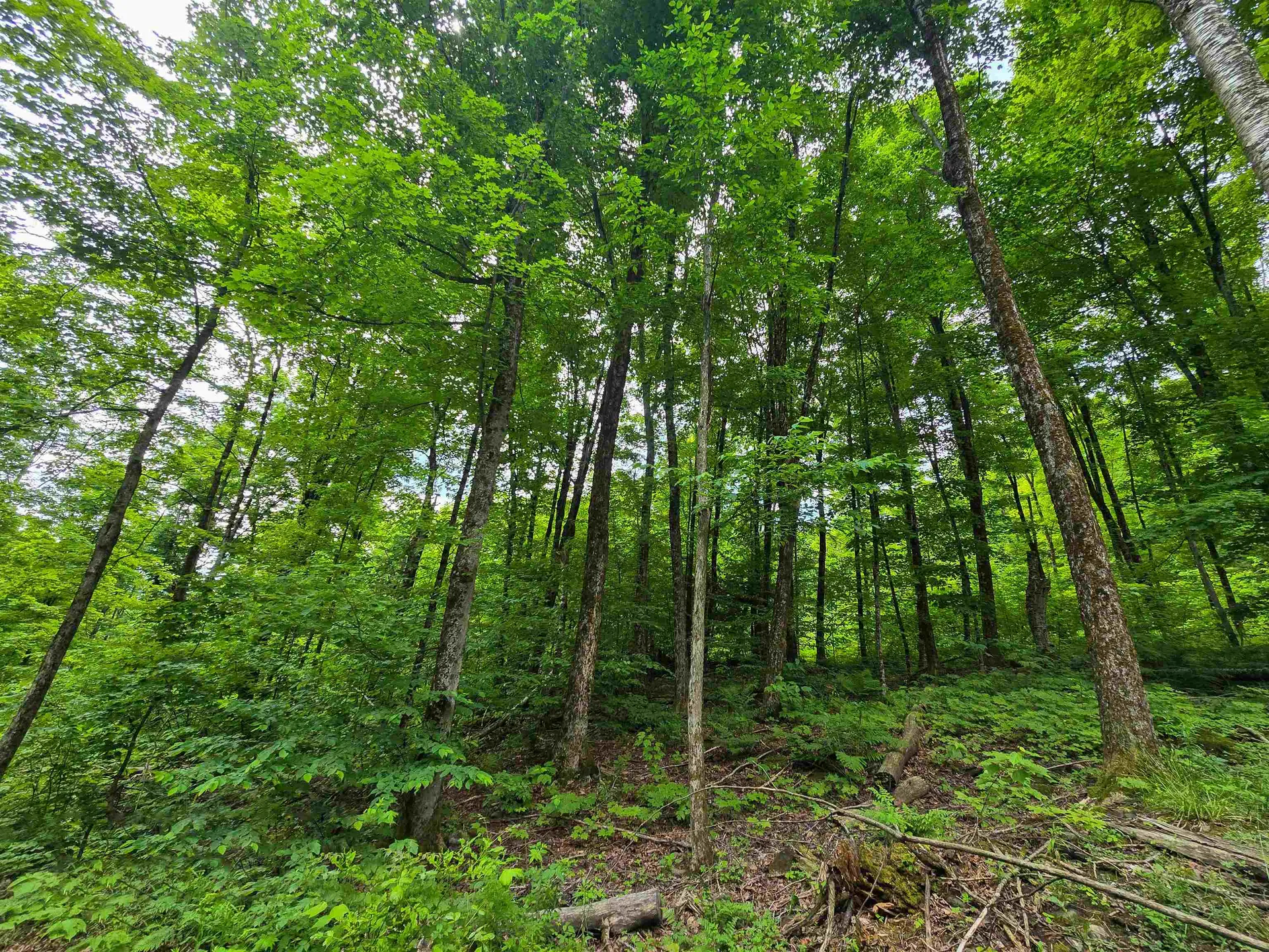 433 Wightman Hill Road Richford VT 05476