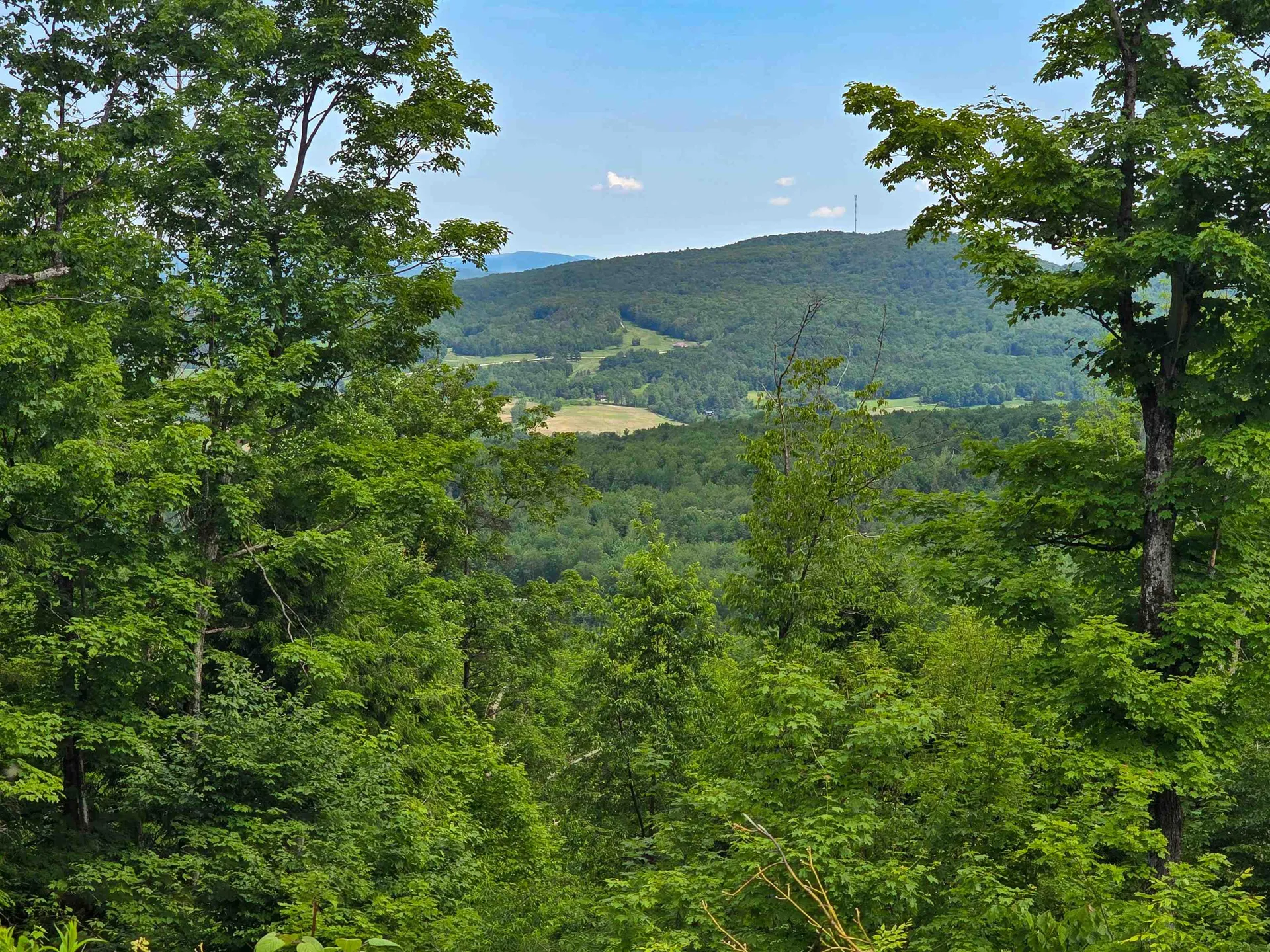 433 Wightman Hill Road Richford VT 05476