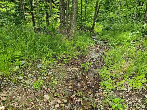 433 Wightman Hill Road Richford VT 05476
