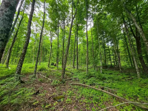 433 Wightman Hill Road Richford VT 05476