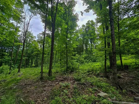 433 Wightman Hill Road Richford VT 05476
