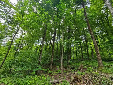 433 Wightman Hill Road Richford VT 05476
