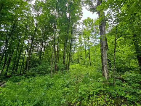 433 Wightman Hill Road Richford VT 05476