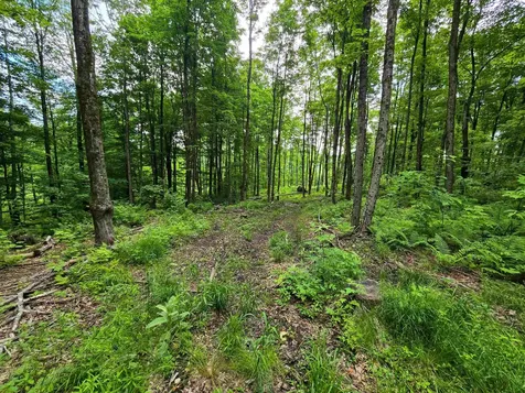 433 Wightman Hill Road Richford VT 05476