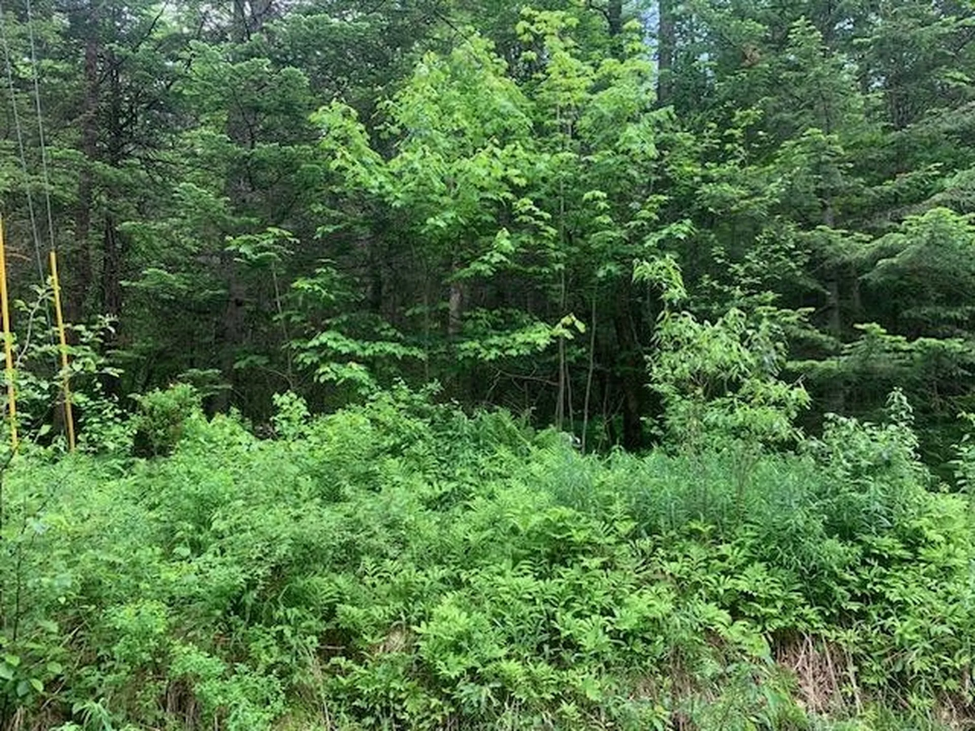 Tbd Griffin Road Stewartstown NH 03576