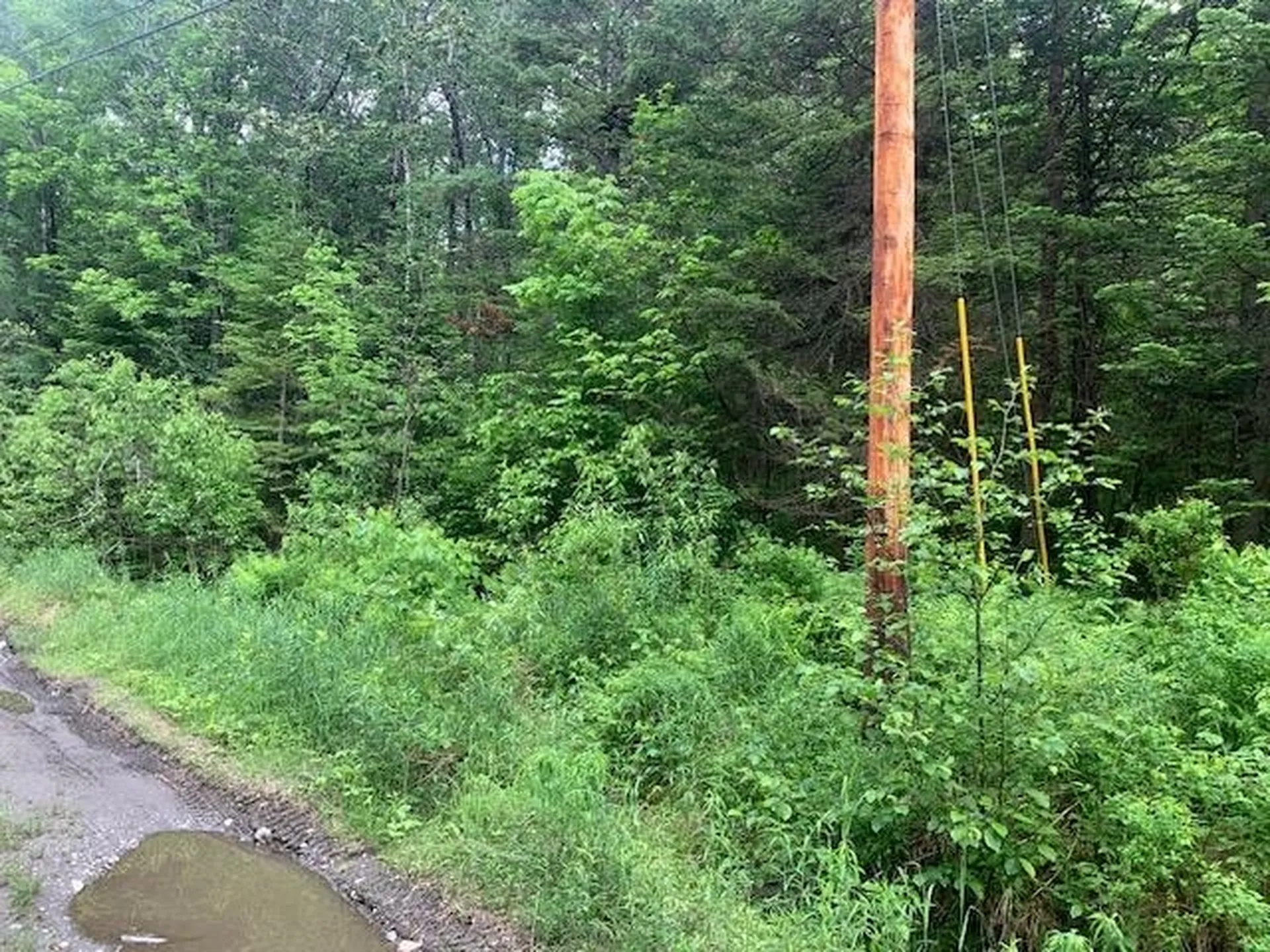 Tbd Griffin Road Stewartstown NH 03576
