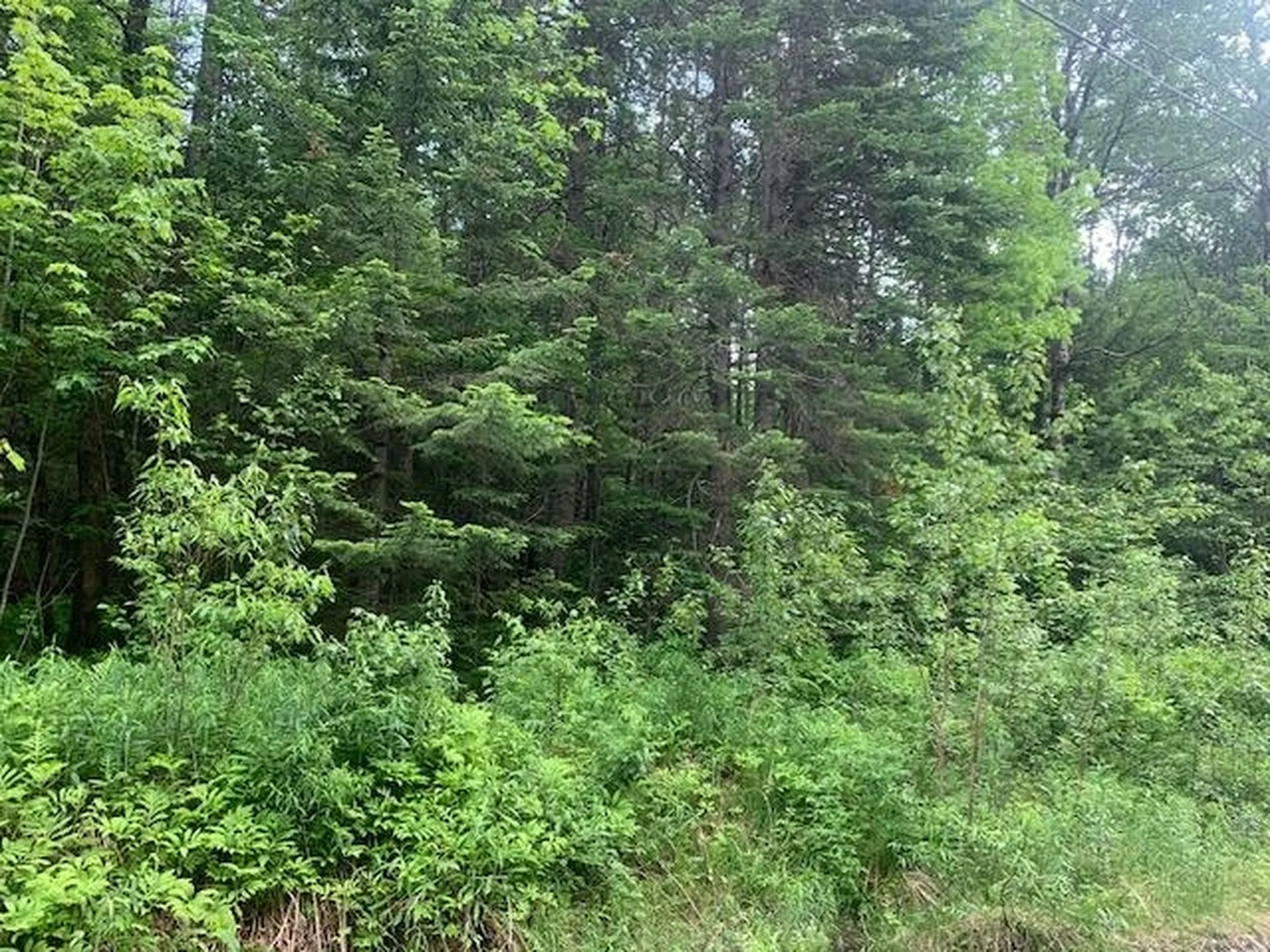Tbd Griffin Road Stewartstown NH 03576