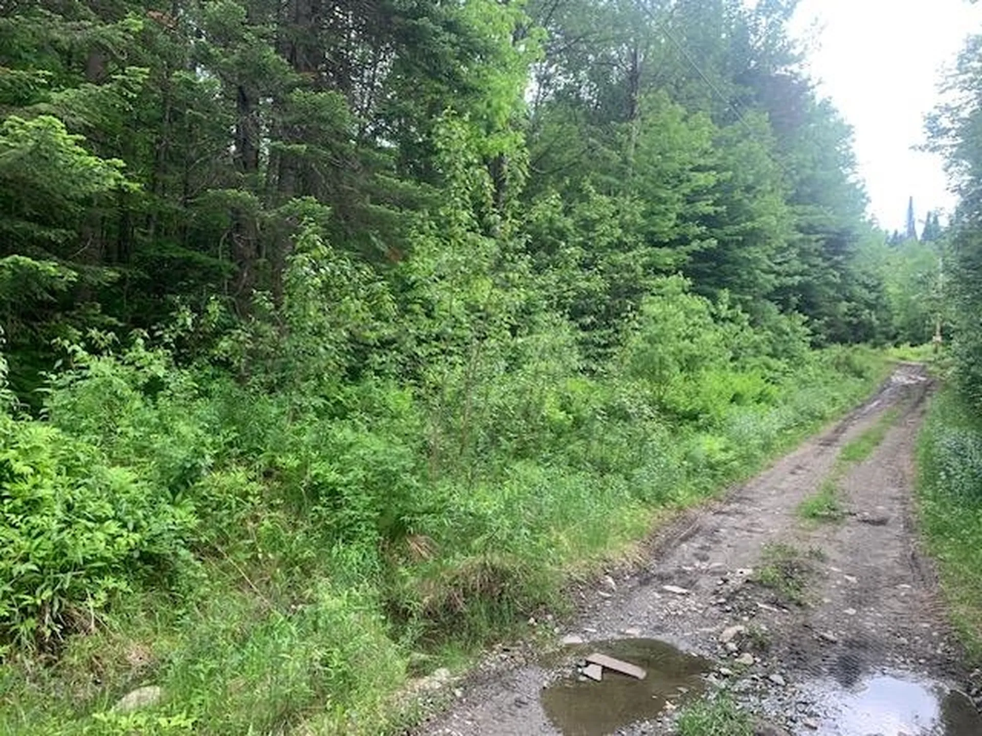 Tbd Griffin Road Stewartstown NH 03576