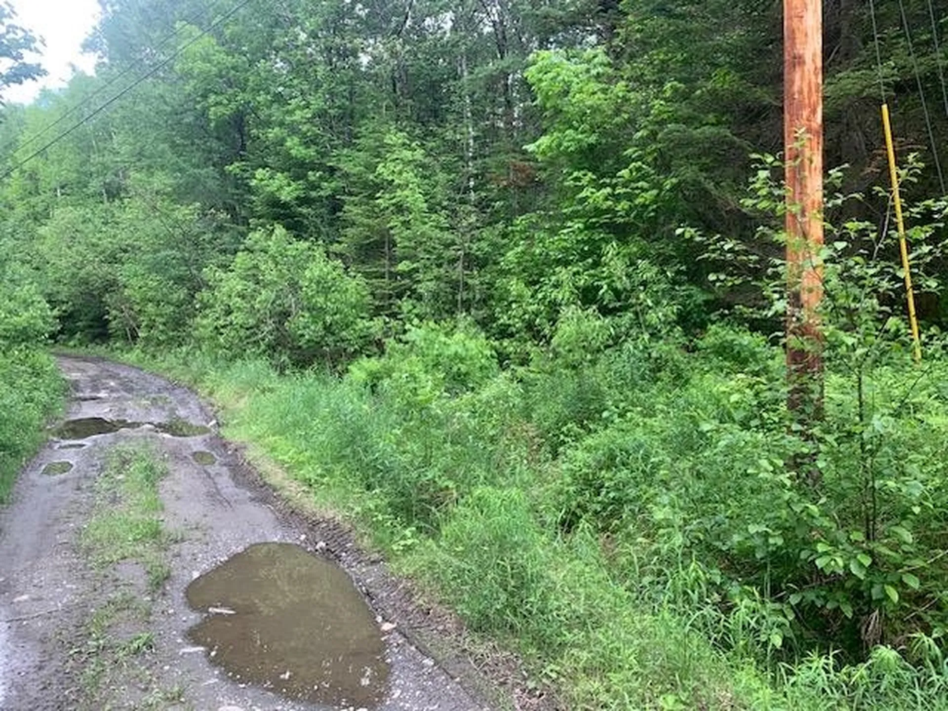 Tbd Griffin Road Stewartstown NH 03576