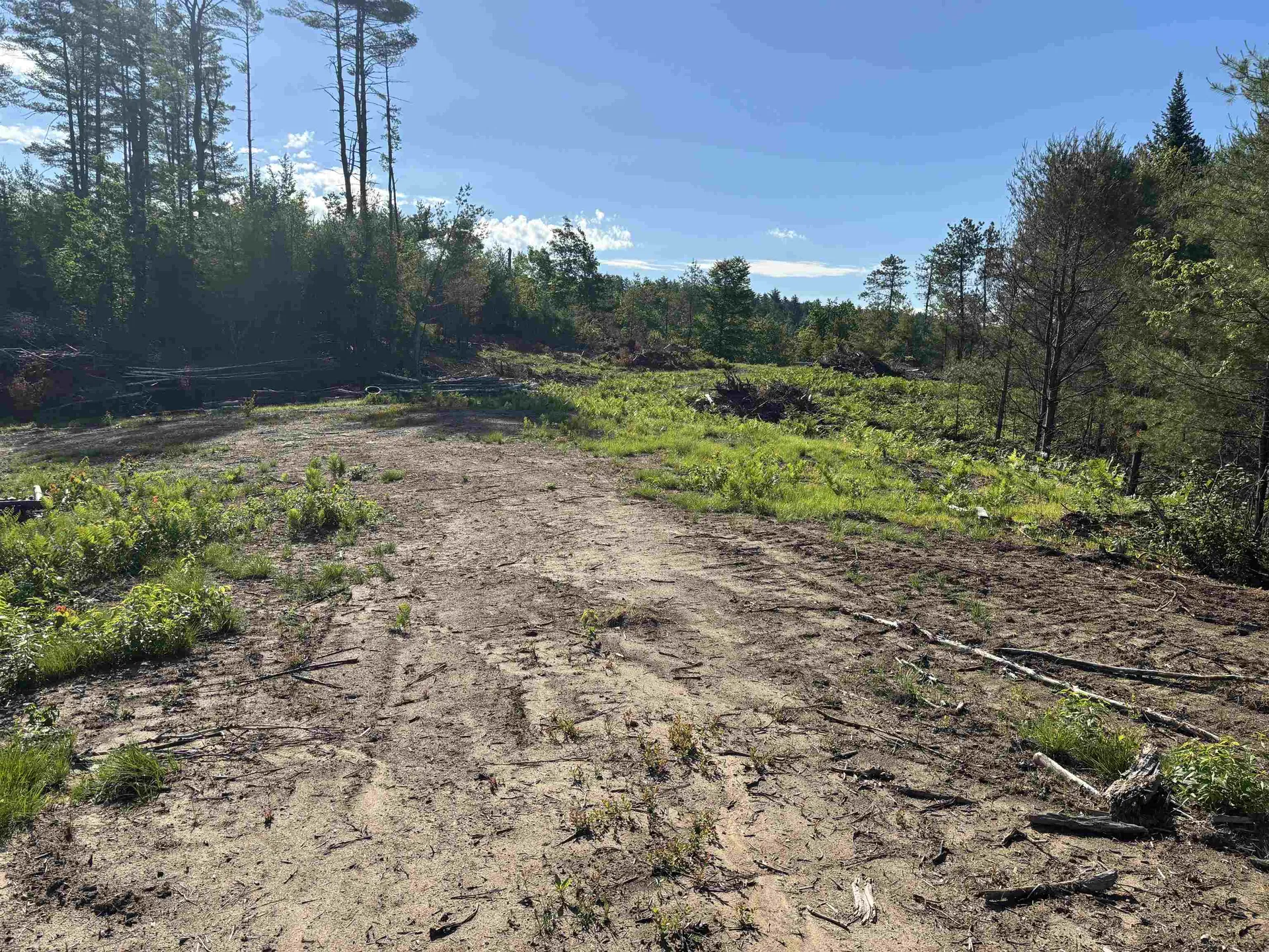 550B Route 16 Highway Ossipee NH 03864