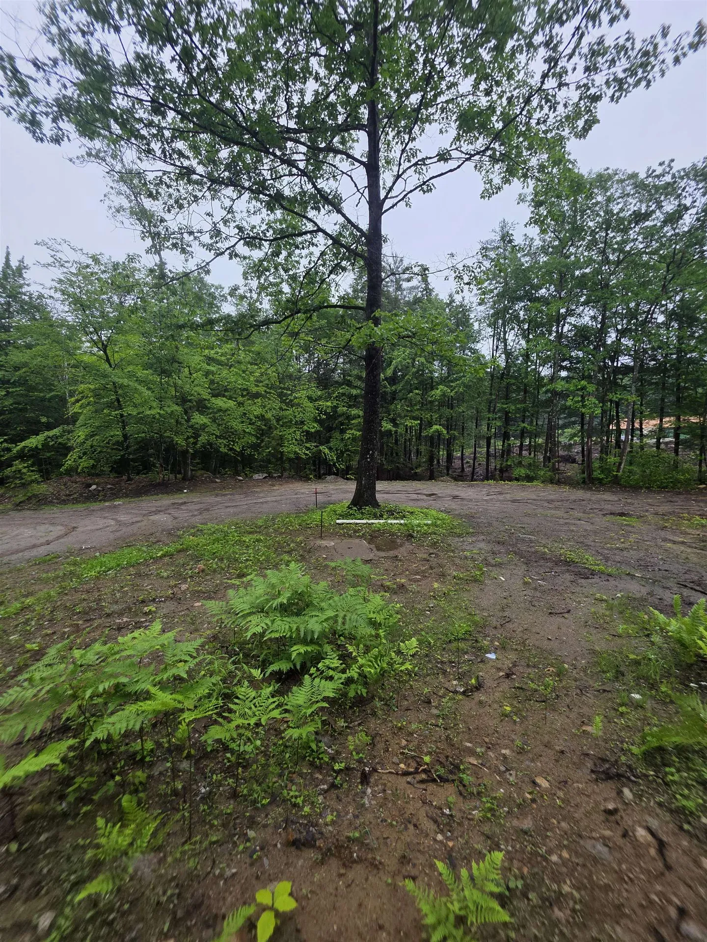 84 Texas Hill Road Plymouth NH 03264