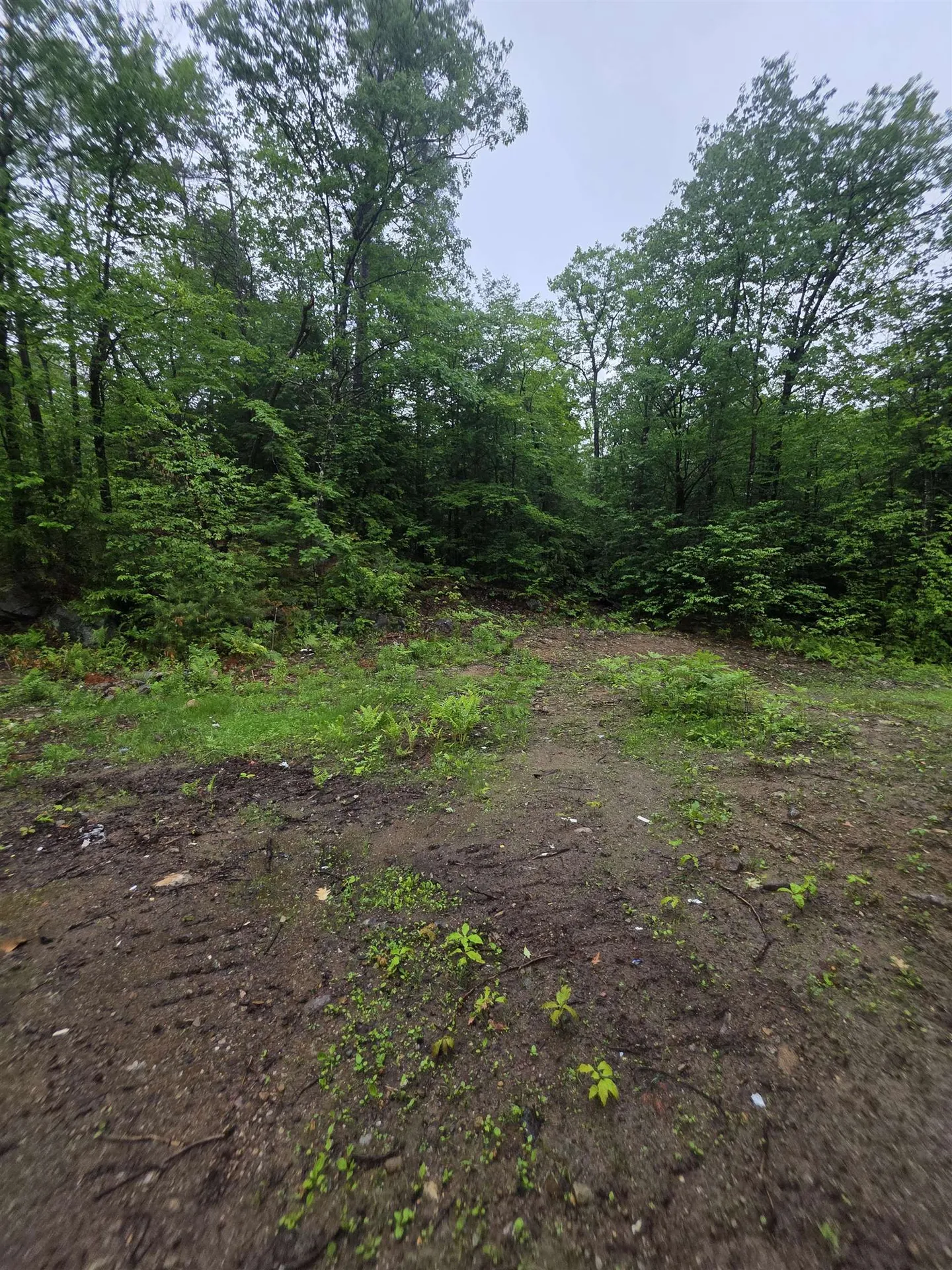 84 Texas Hill Road Plymouth NH 03264