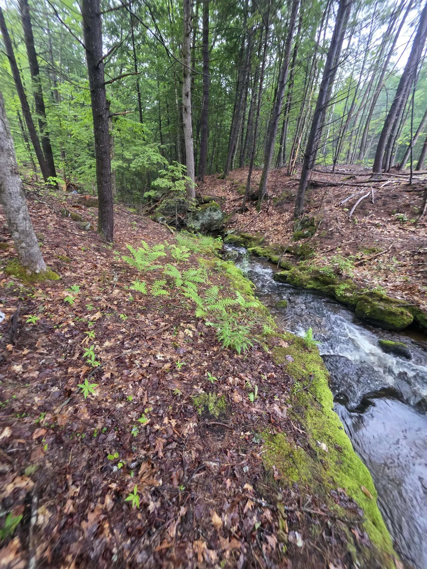 84 Texas Hill Road Plymouth NH 03264