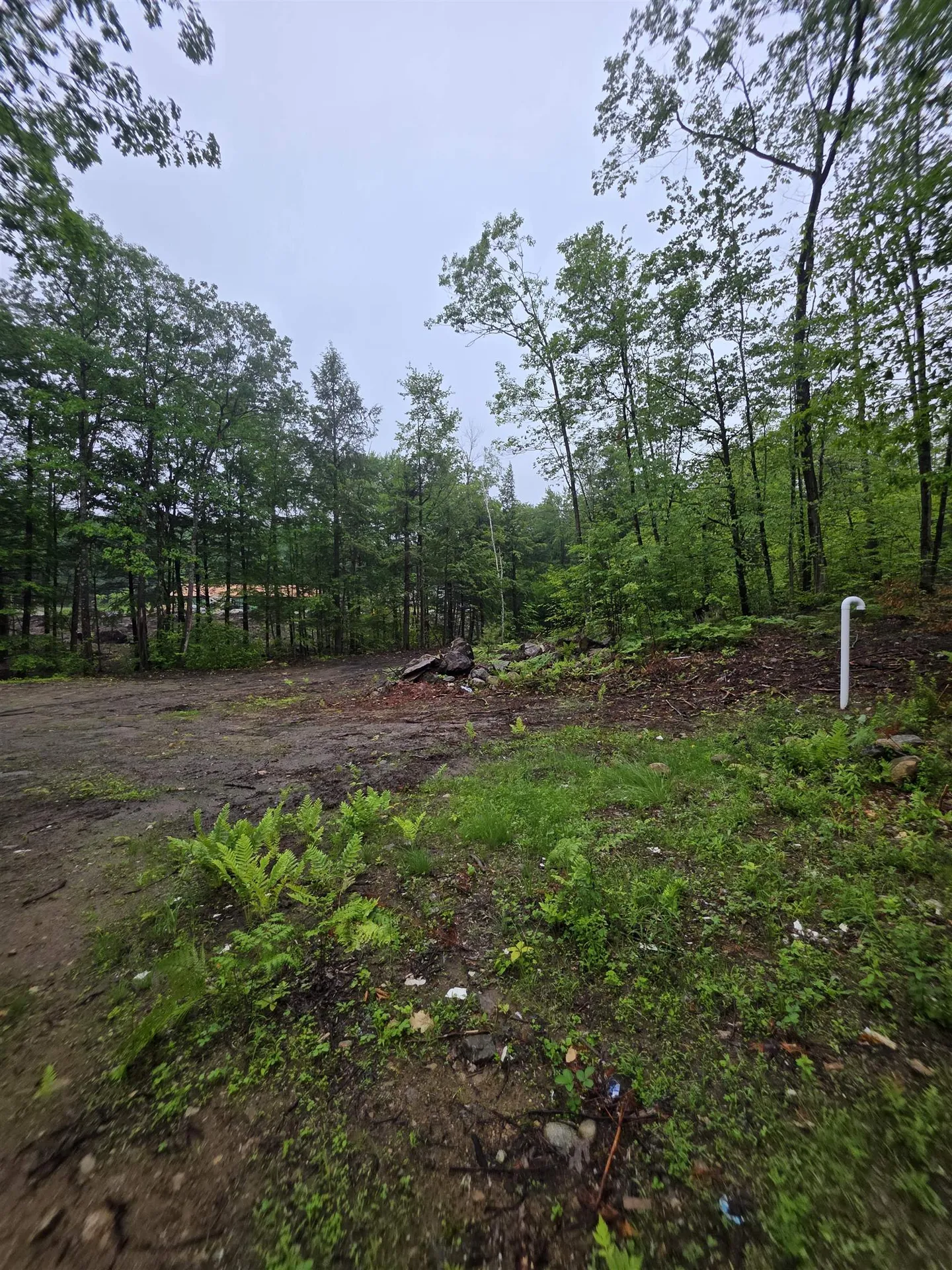 84 Texas Hill Road Plymouth NH 03264