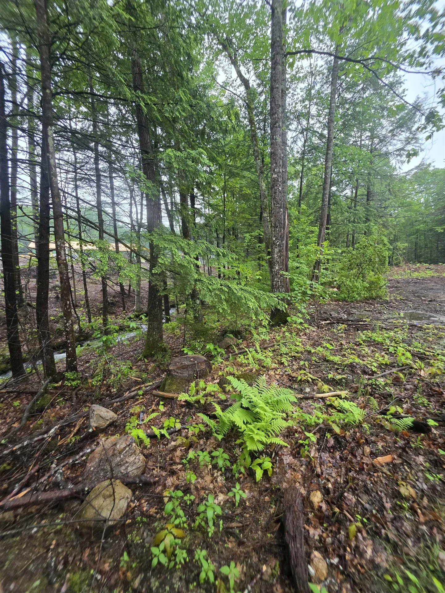 84 Texas Hill Road Plymouth NH 03264