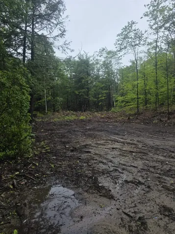 84 Texas Hill Road Plymouth NH 03264