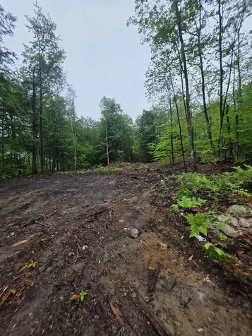 84 Texas Hill Road Plymouth NH 03264