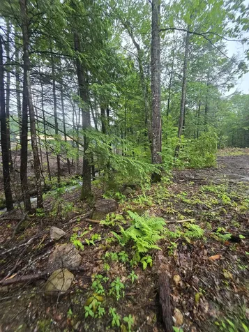 84 Texas Hill Road Plymouth NH 03264