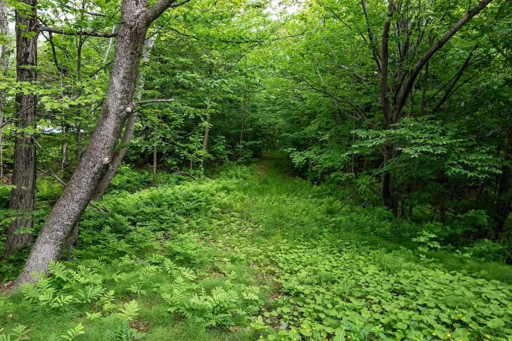 56 Shattarack Road Stratton VT 05155