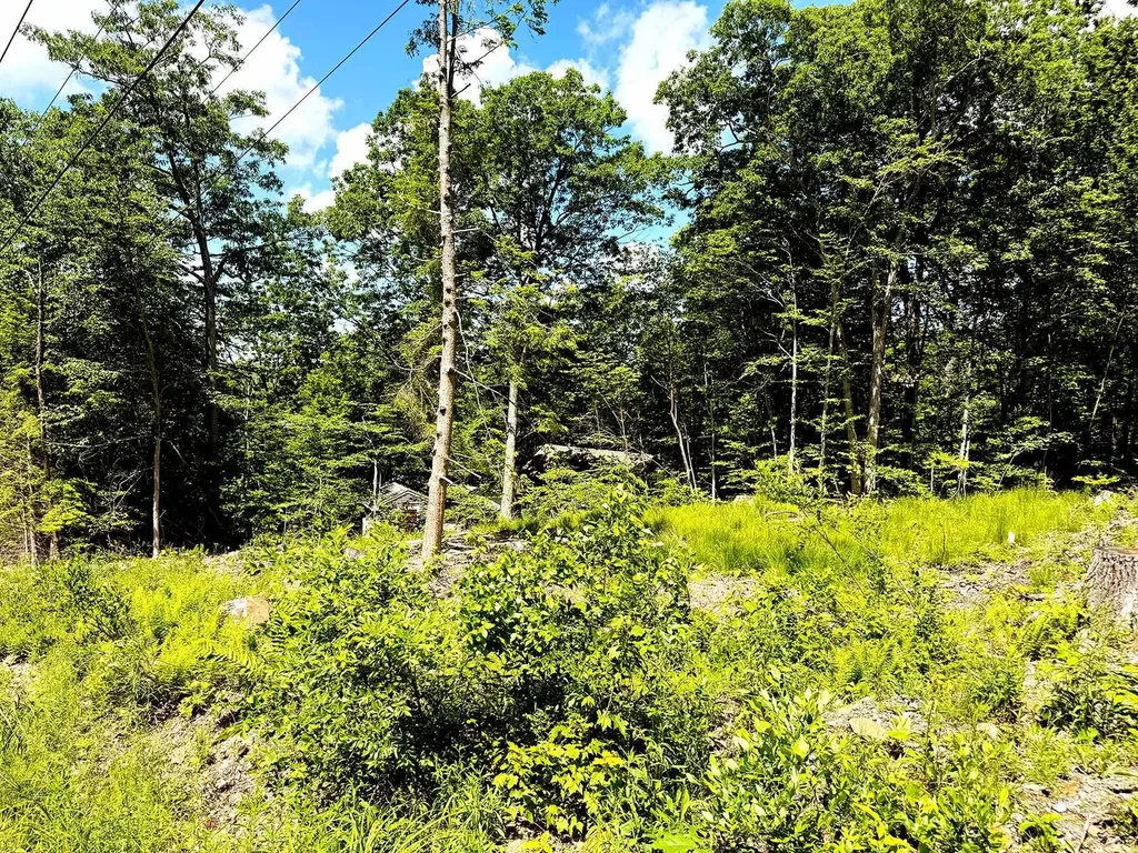 Tm 132 L 91 Buck Lane Gilmanton NH 03237