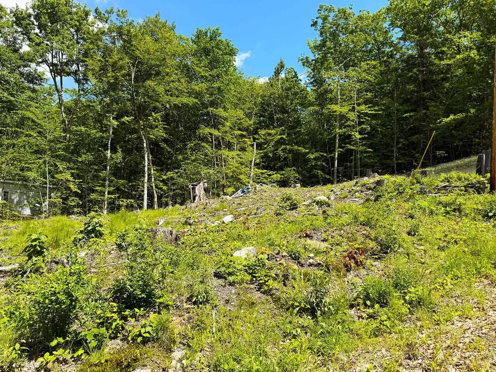 Tm 132 L 91 Buck Lane Gilmanton NH 03237