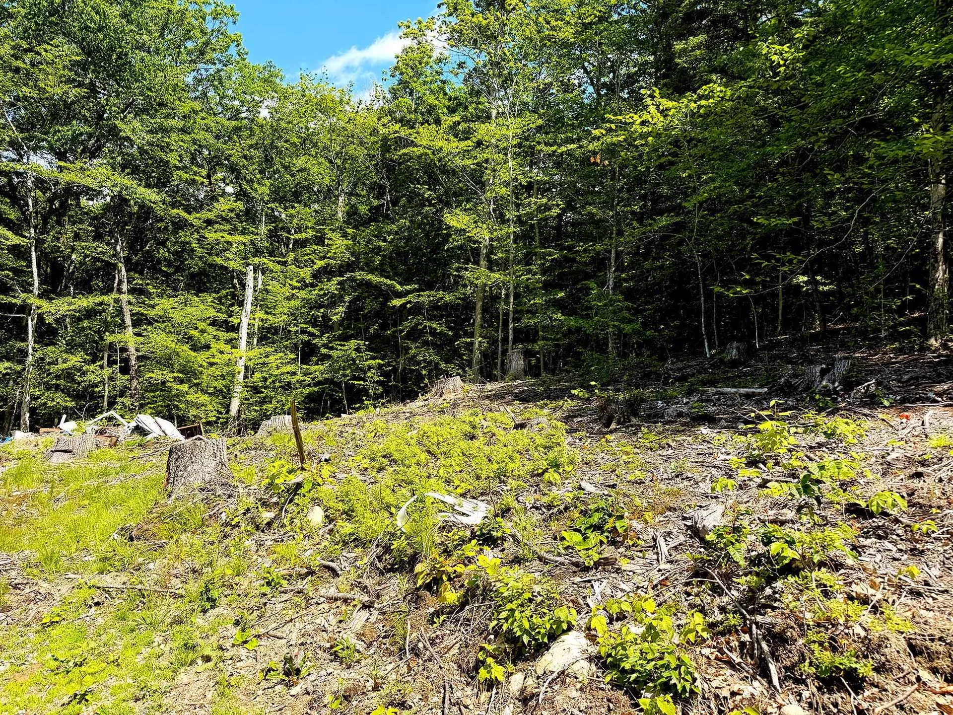 Tm 132 L 91 Buck Lane Gilmanton NH 03237