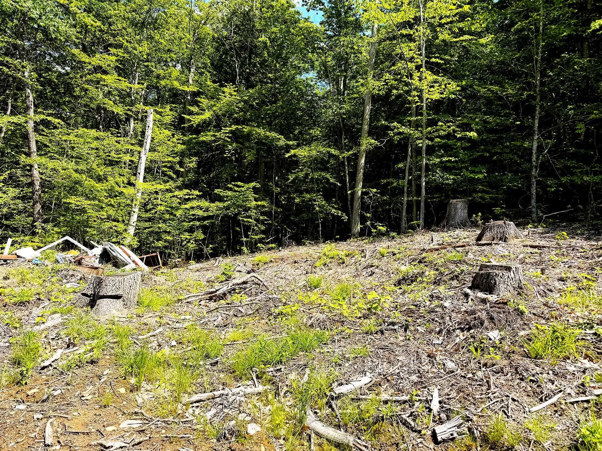 Tm 132 L 91 Buck Lane Gilmanton NH 03237